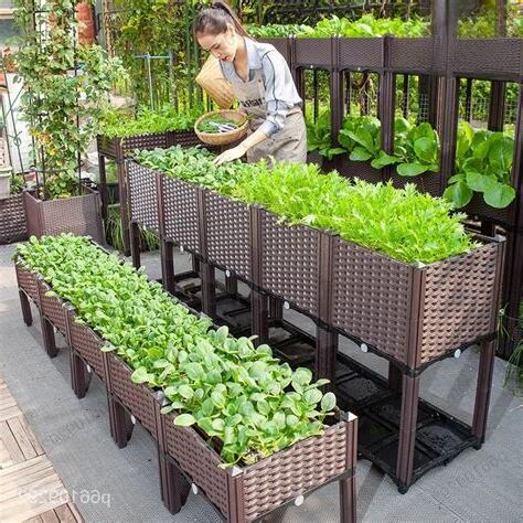 陽台種菜容器