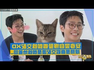 蜘蛛在家結網
