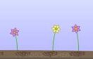 種花game