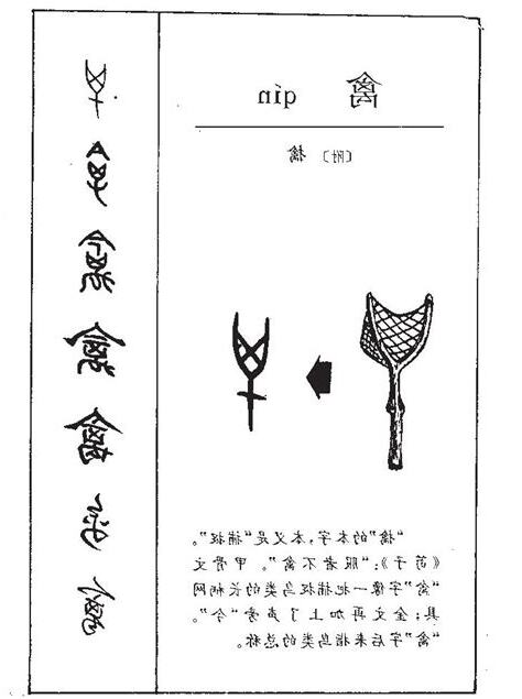 禽意思