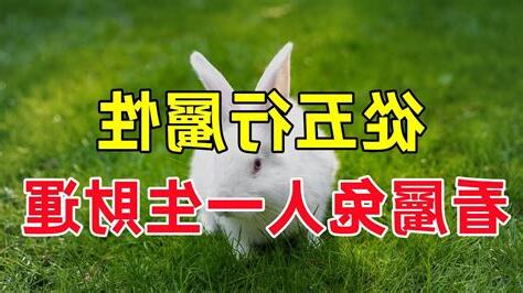 兔五行屬性