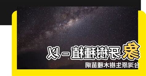 象牙樹種植