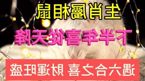 屬鼠六合
