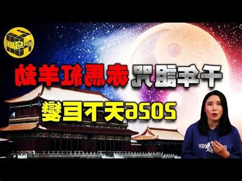 2026馬寶寶