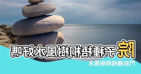 門前種什麼花風水好