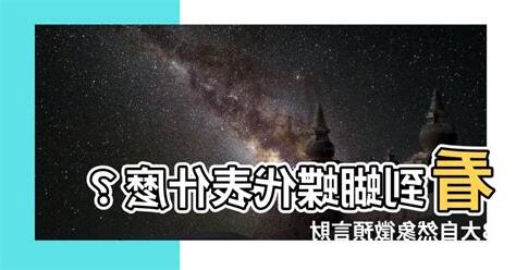 看到蝴蝶代表什麼