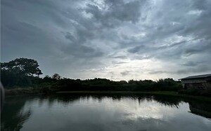 下雨前的景象