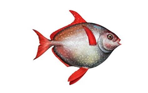 魚有血嗎