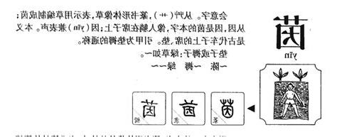 茵的意思