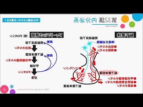 生理等級3