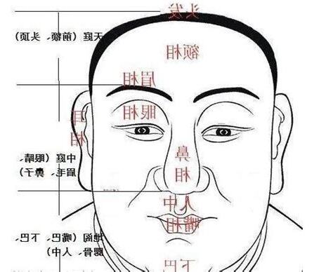 額頭發亮面相