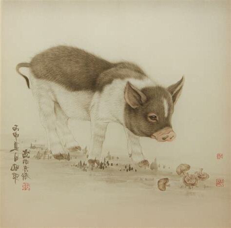 戌狗亥猪