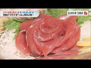 波羅魚種類