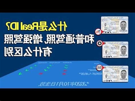 人車照