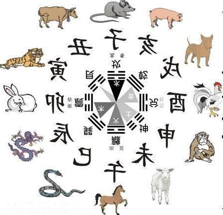 十二生肖五行屬性