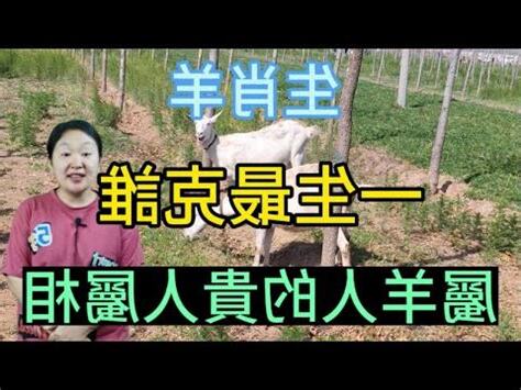 羊三合貴人