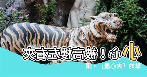 夾在中間的房子