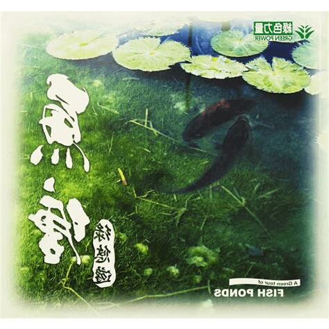 魚塘