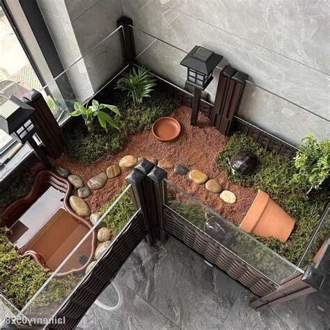 烏龜居住環境