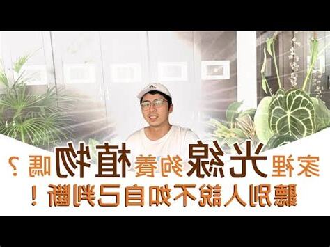 散光植物