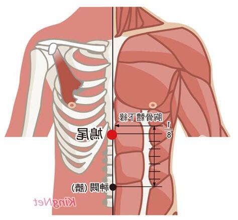 鳩尾穴位置