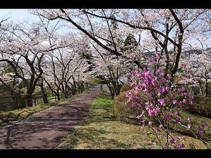 巽山
