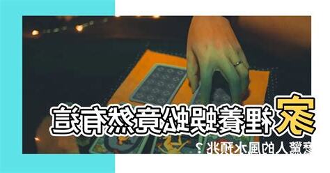 養蜈蚣風水