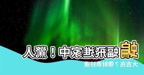 蝙蝠飛進房間