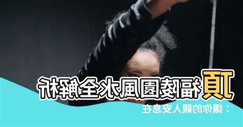頂福陵園風水