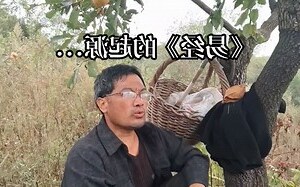 金篆玉函