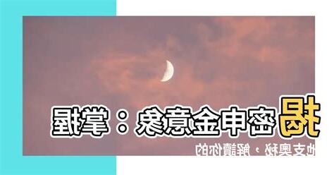 申金意象
