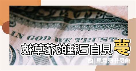 夢見種盆栽