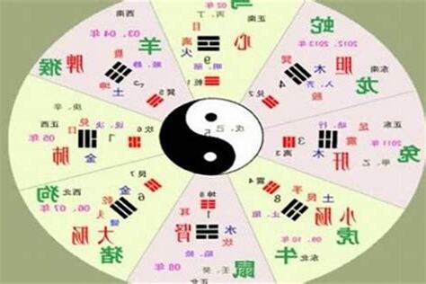 水鼠命