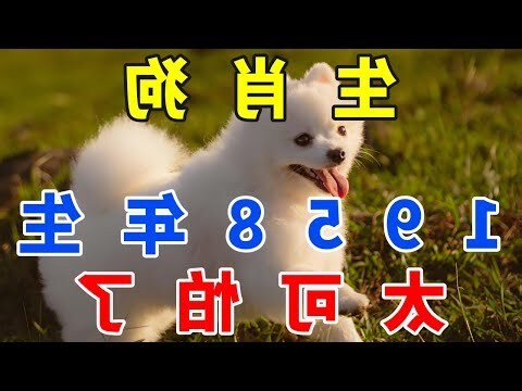 戊戌年生肖