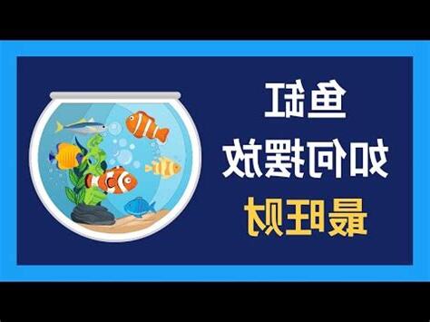 魚缸裂開風水