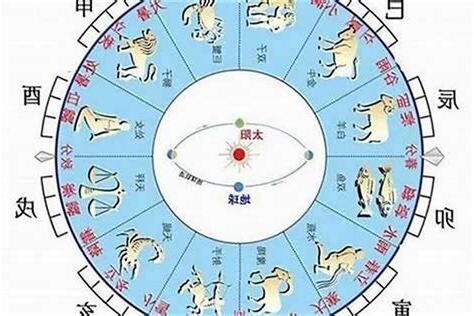 2018年五行属什么