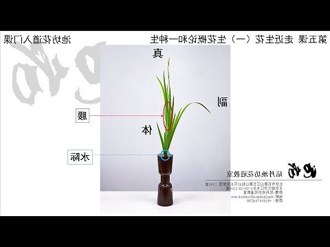 一種生
