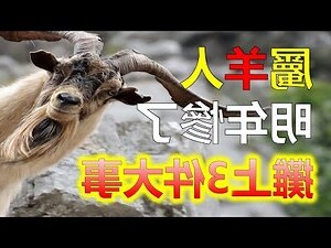 屬羊座向