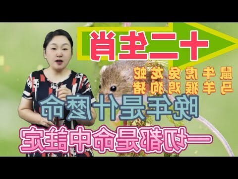 豬龍鼠馬是什麼意思