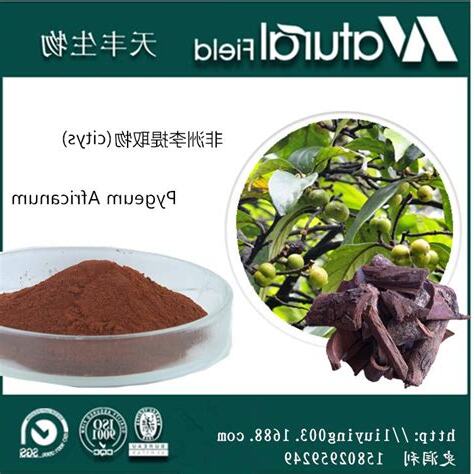 非洲刺李噴泉