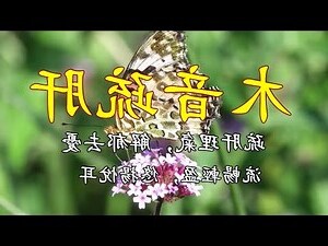 木音