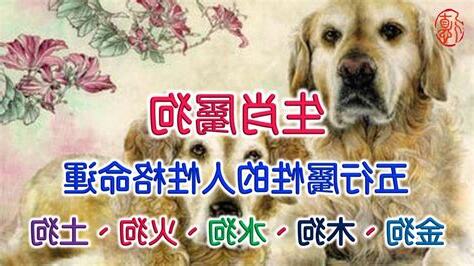 狗屬性