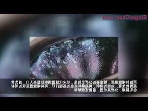 喜金土