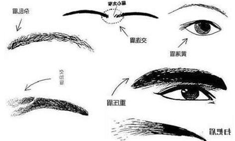 六害眉