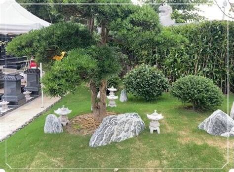 墓園適合種什麼花