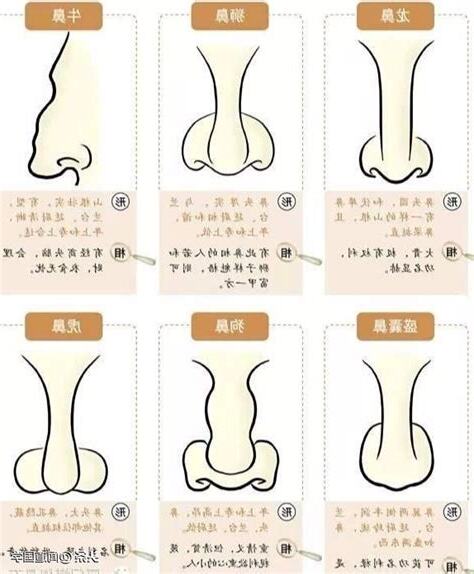 鼻尖面相