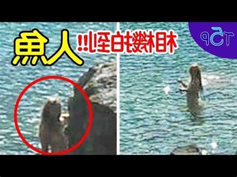 真美人魚