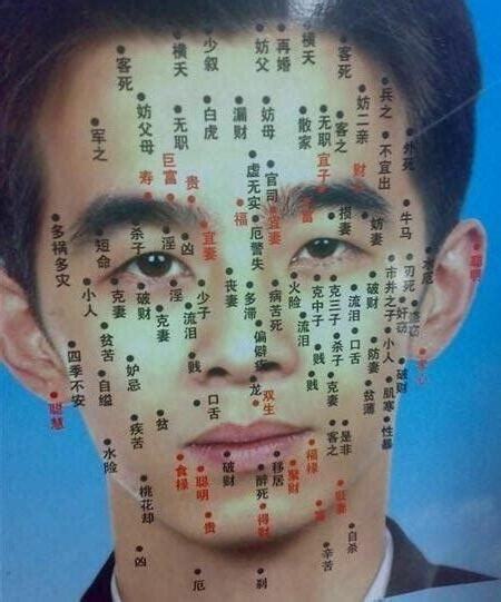 男性面相