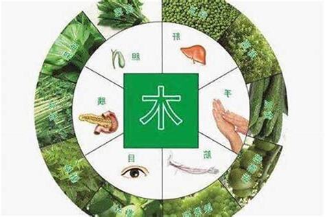 五行缺木怎麼補