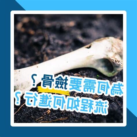 撿骨注意事項